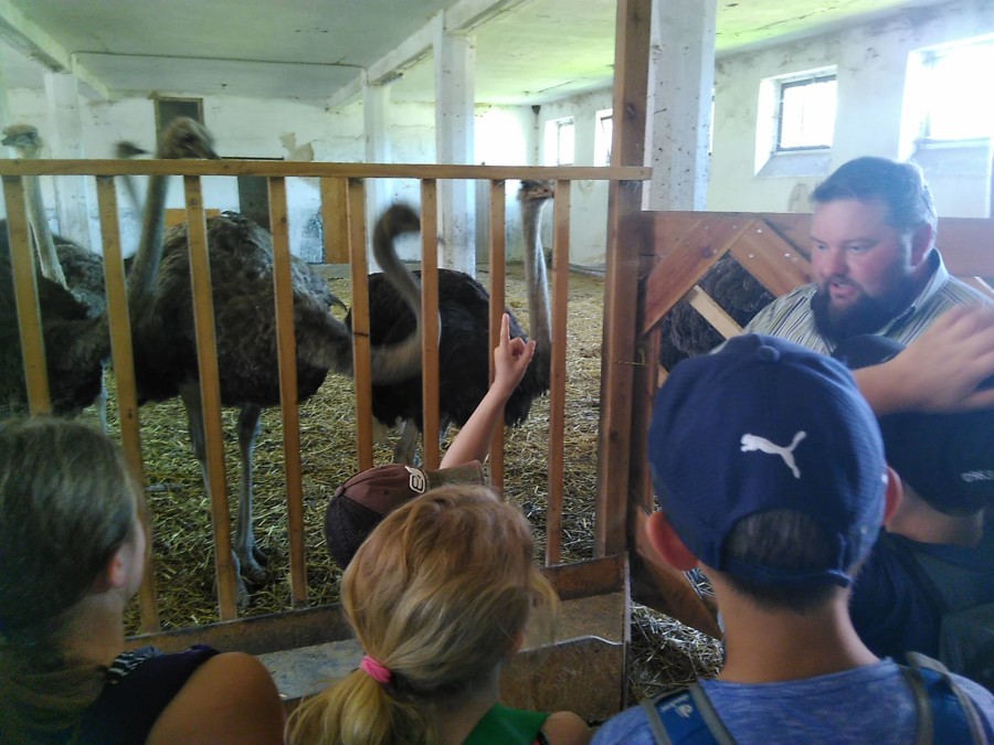 Grashüpfer 2019 Ausflug Straussenfarm_2